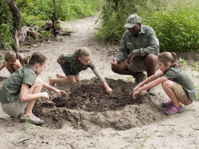 Family Safari