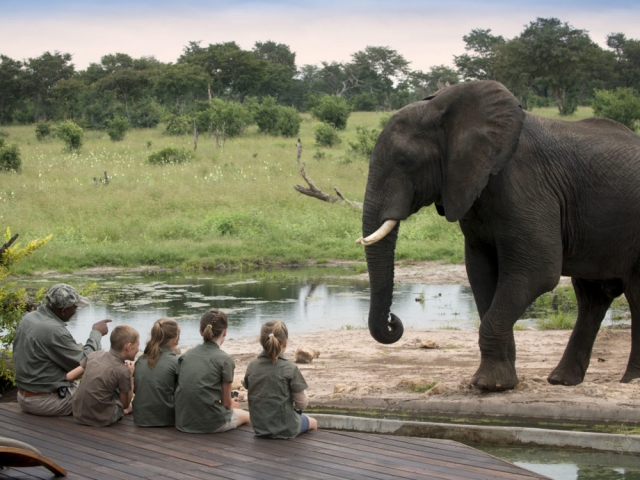 Family Safari