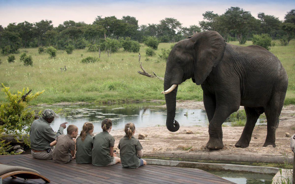 9-day South Africa Family Safari (3 Star)