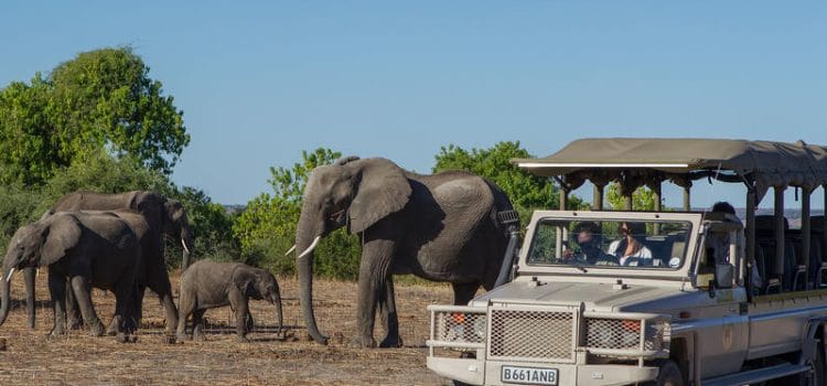 National Parks/Reserves vs Private Conservancies