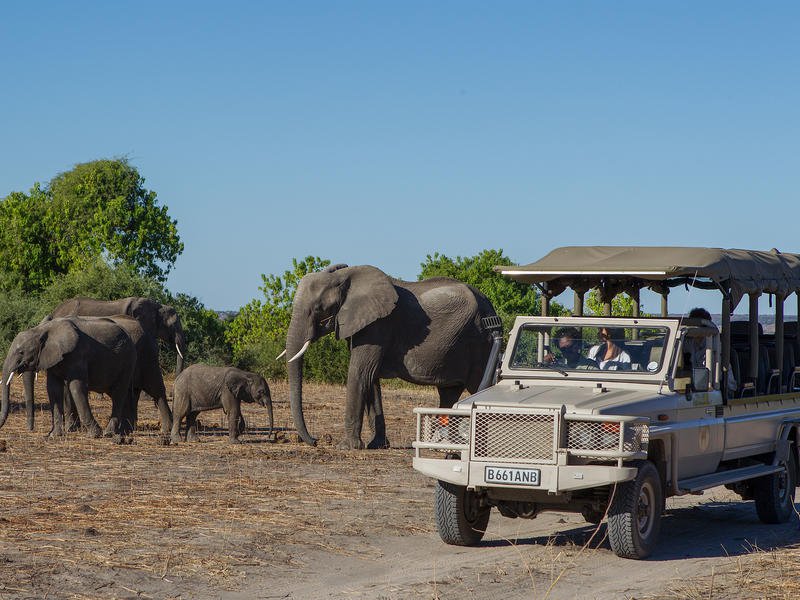 5-day Victoria Falls and Chobe National Park (Superior)