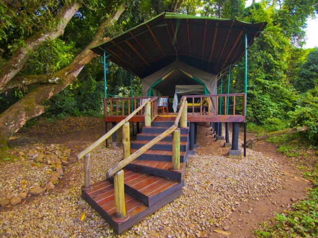 Gombe-Lodge-GombeRoom3