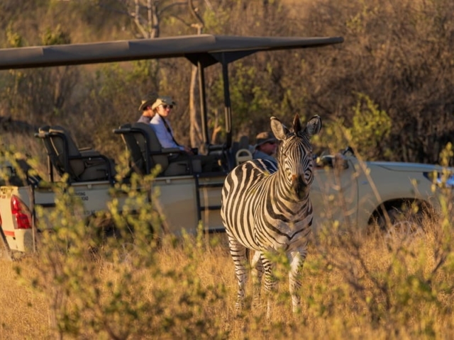 Hwange National Park, Zimbabwe Hwange National Park, Zimbabwe