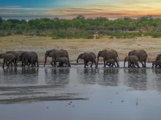 Hwange National Park, Zimbabwe Hwange National Park, Zimbabwe