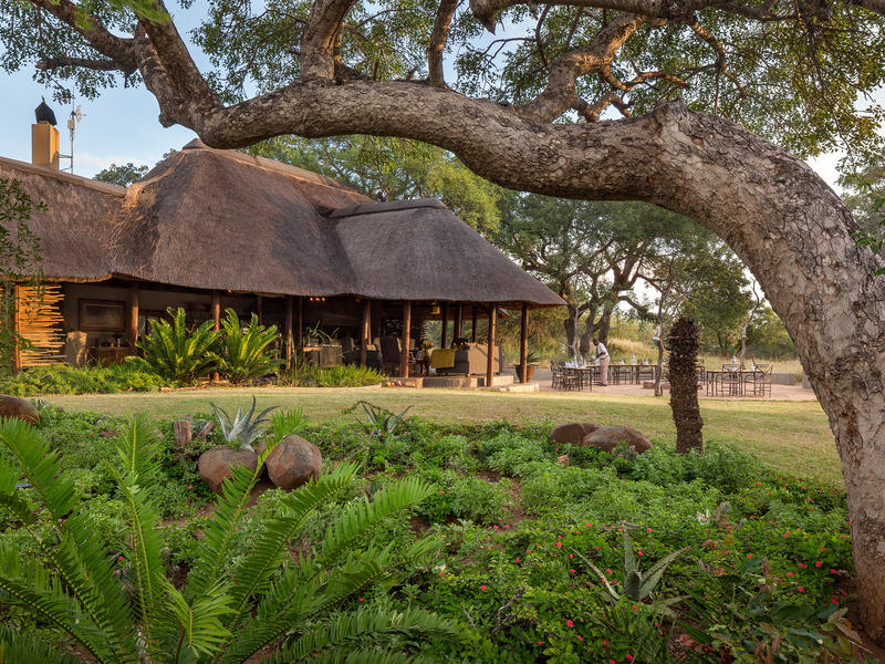 Jackalberry Lodge, Thornybush Private Game Reserve