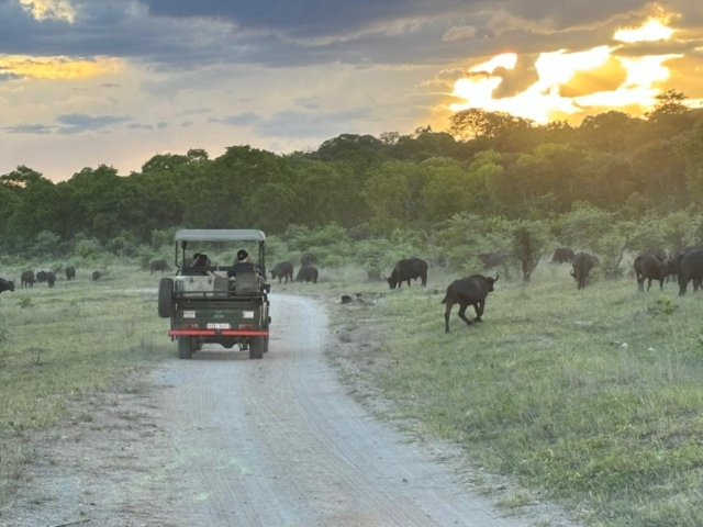 Kruger to Victoria Falls