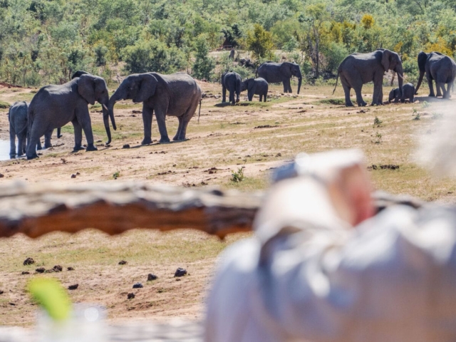Kruger to Victoria Falls