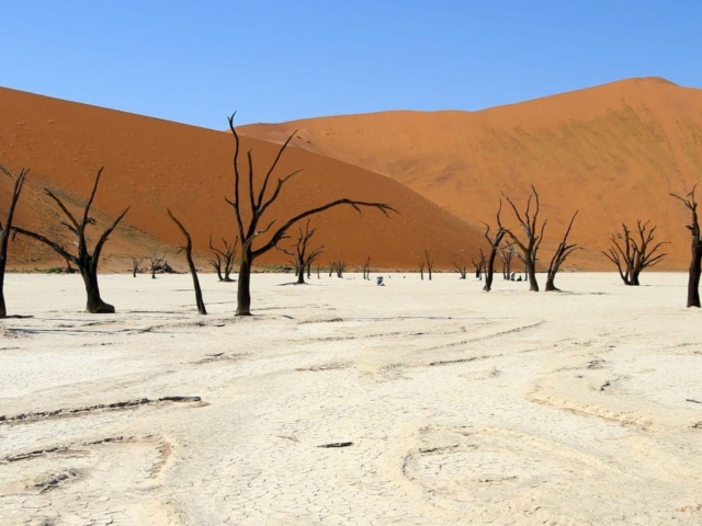 TransKalahari Adventure