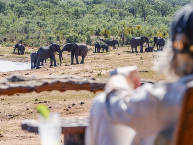 Victoria Falls and Zambezi