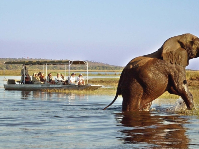 Victoria Falls and Zambezi