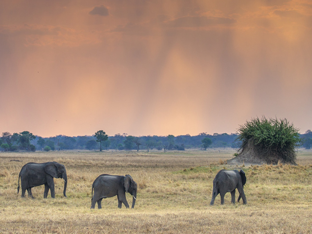 Kafue National Park, Zambia Kafue National Park, Zambia