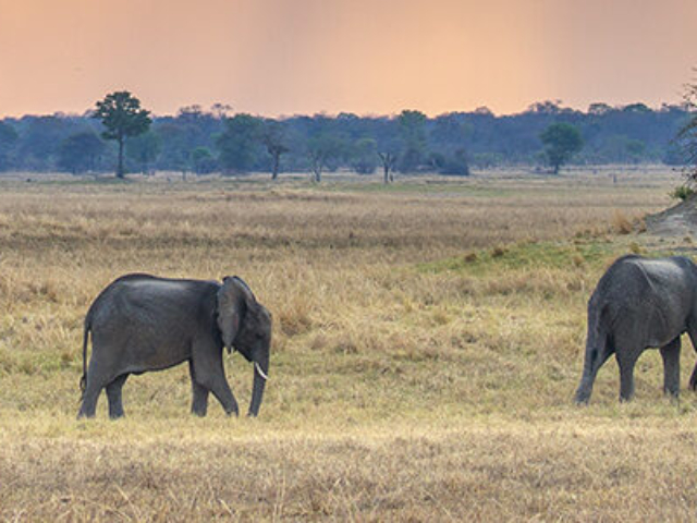 Kafue National Park, Zambia