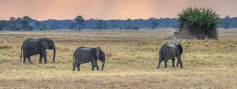 10-day Classic Zambia Safari