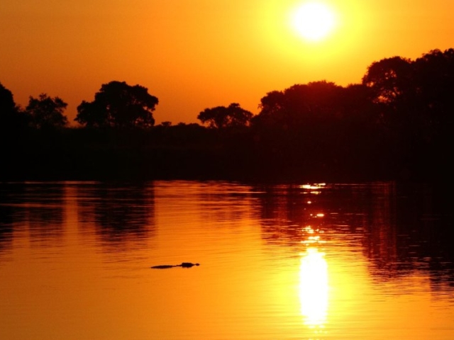 Kafue National Park, Zambia Kafue National Park, Zambia
