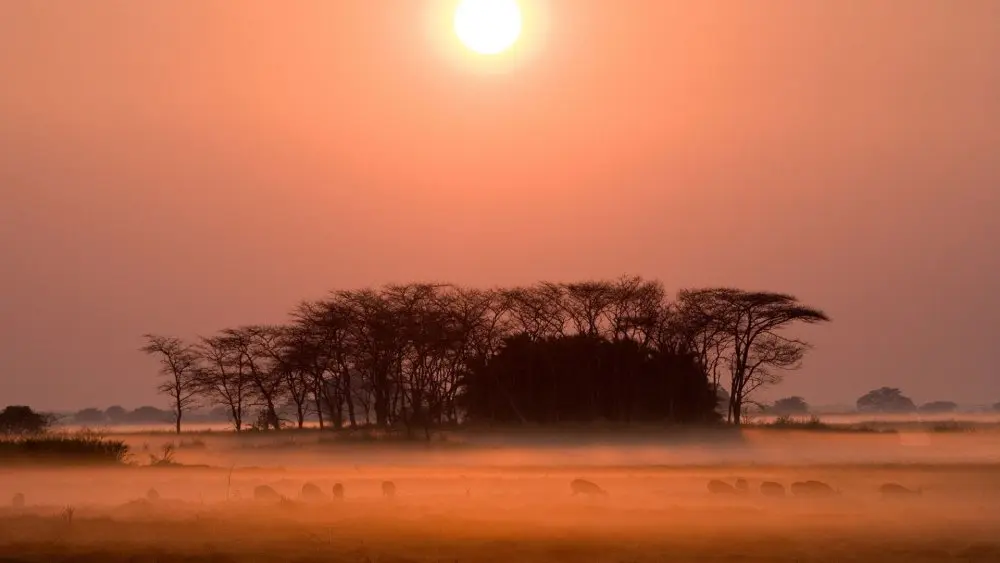 Why Choose Kafue National Park for your next safari ?