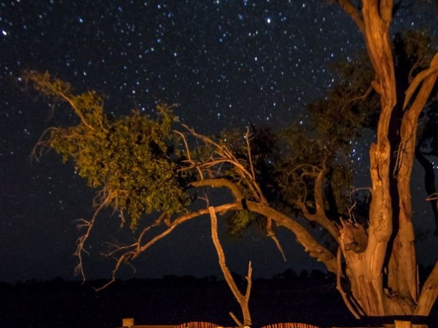 Kanana Sleepout, Okavango Delta, Botswana