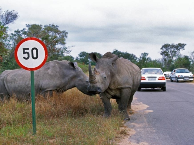Kruger National Park, South Africa Kruger National Park, South Africa