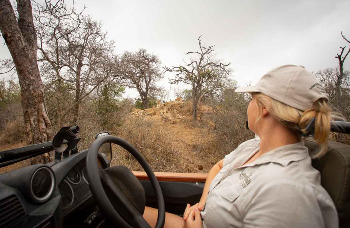 7-day Greater Kruger Safari KwaMbili and Umkumbe