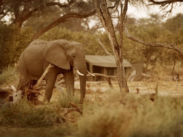 7-day Moremi Magic Safari
