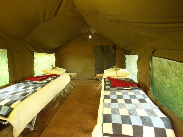 7-day Moremi Magic Safari
