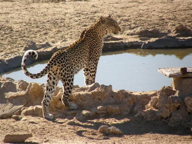 22-day TransKalahari Adventure