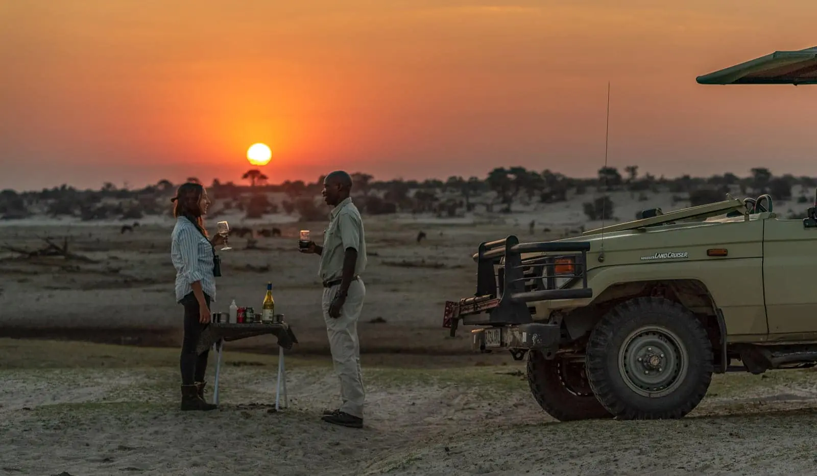 11-day Botswana Northern Parks Safari (Superior)