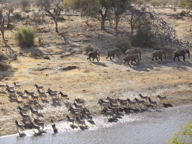 Meno A Kwena Tented Camp, Botswana Meno A Kwena Tented Camp, Botswana
