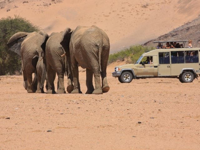 17-day Namibia Adventure