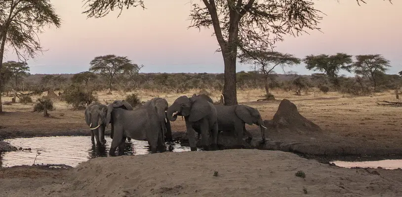 When is a good time to travel to Namibia?