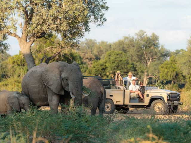 Nkonzi Bush Camp, South Luangwa National Park, Zambia Nkonzi Bush Camp, South Luangwa National Park, Zambia