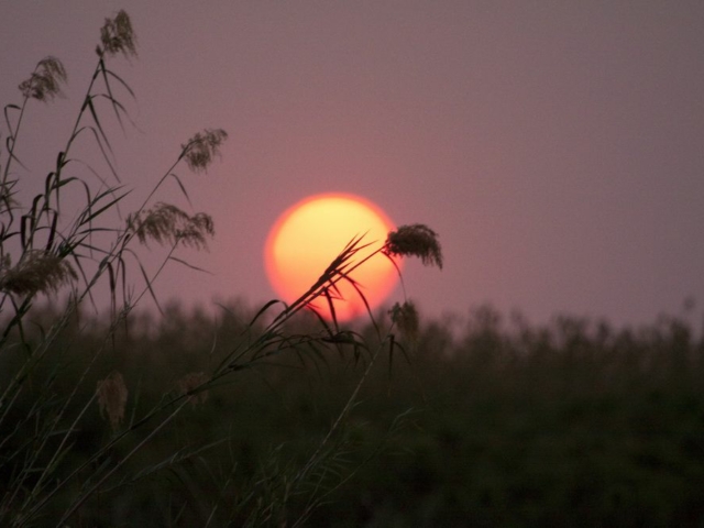 Panhandle, Okavango, Botswana Panhandle, Okavango, Botswana