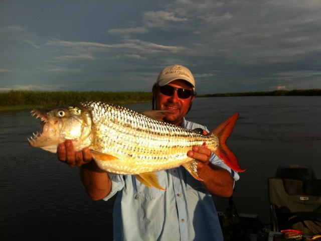 Tigerfish, Panhandle, Okavango, Botswana Tigerfish, Panhandle, Okavango, Botswana