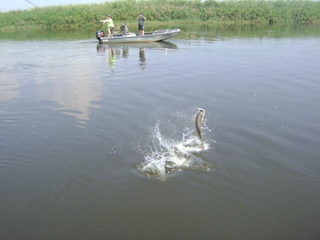 Panhandle, Okavango, Botswana Panhandle, Okavango, Botswana