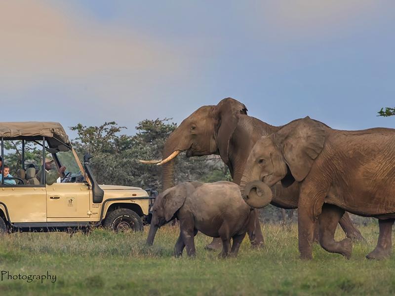Rhino Camp, Ol Pejeta Conservancy, Kenya