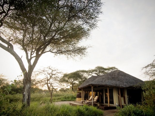 7-day Tanzania Under Canvas