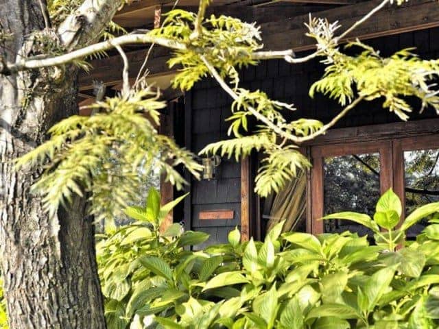 8-day Tanzania Lodge Safari - Sopa Lodges