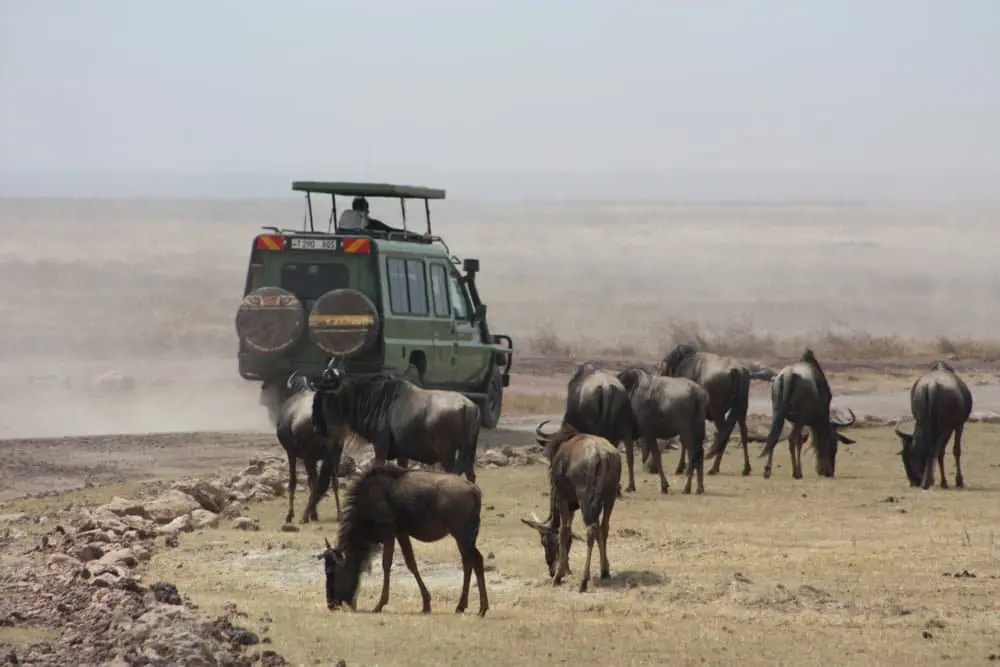 13-day East African Explorer – Sopa Lodges