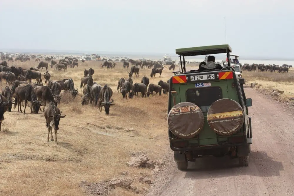 8-day Tanzania Lodge Safari – Serena Lodges