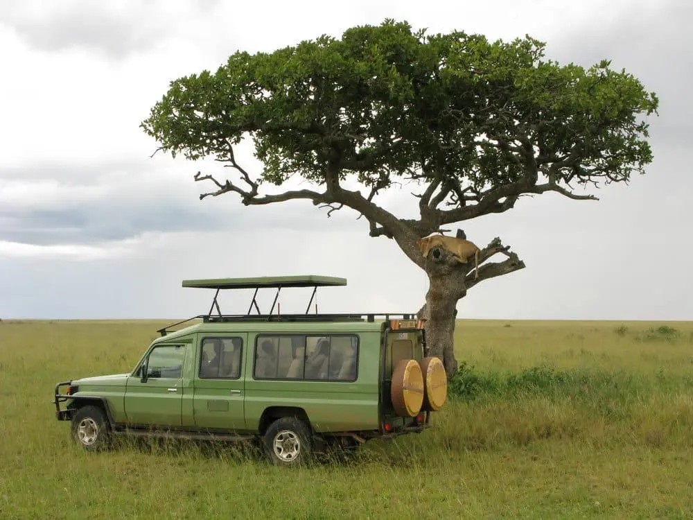 Where to go on an African Safari in January?