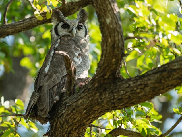 Photographic Safari Tyler Garnham Photographic Safari Tyler Garnham
