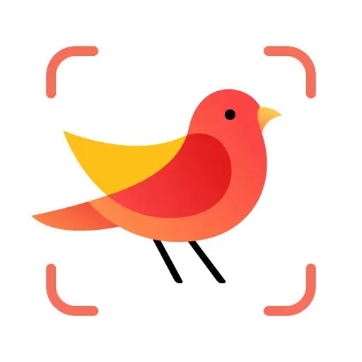Picture Bird app icon