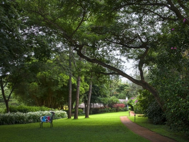 Plantation-Lodge-Gardens-lo
