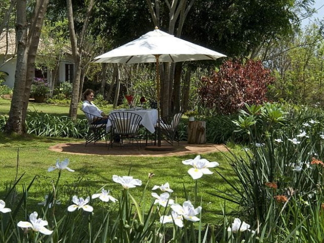 Plantation-Lodge-garden