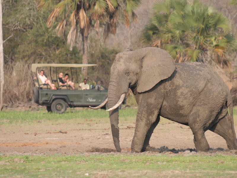 Siwandu, Selous Game Reserve, Tanzania