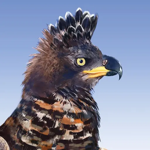 Roberts Birds app icon