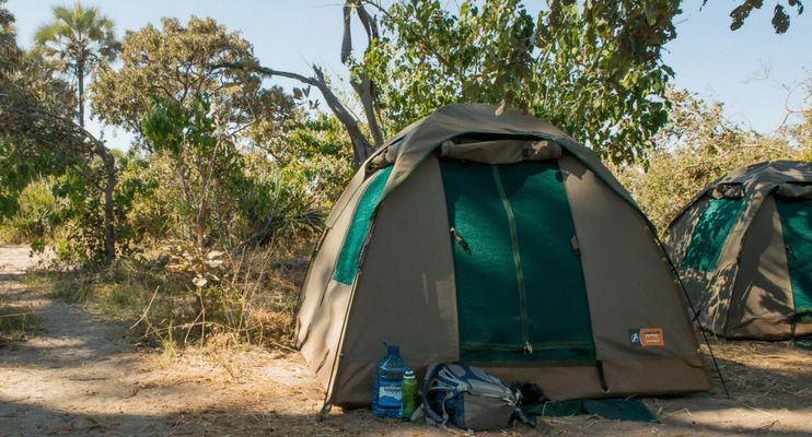 16-day Zimbabwe and Botswana – Game Trail