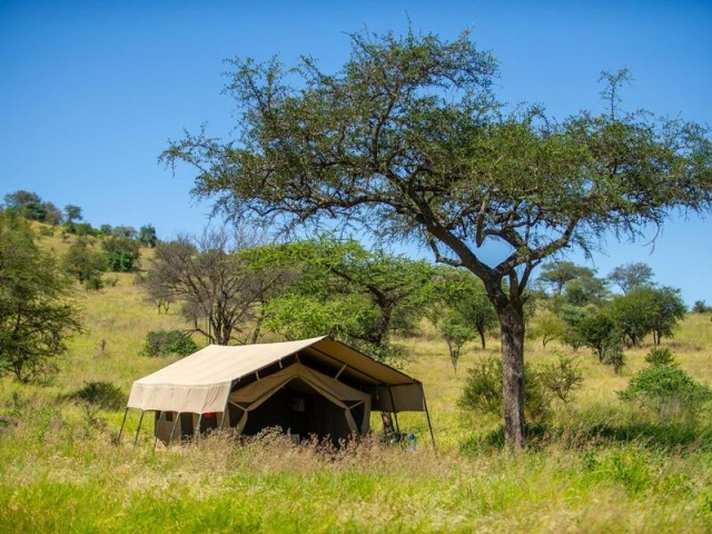 Mara Kati Kati Camp, Serengeti, Tanzania Mara Kati Kati Camp, Serengeti, Tanzania