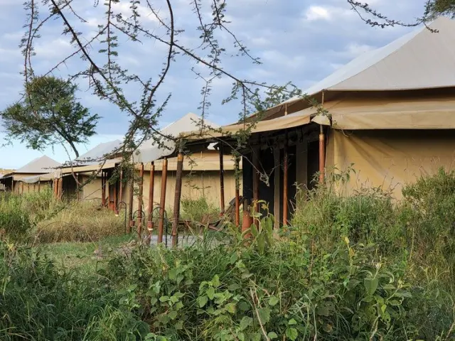 Serengeti Pure Tented Camp, Tanzania