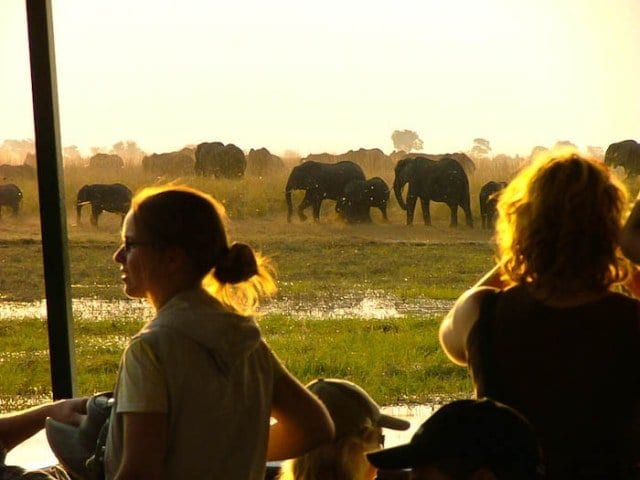 16-day Zimbabwe  Botswana Game Tracker (Accommodated)