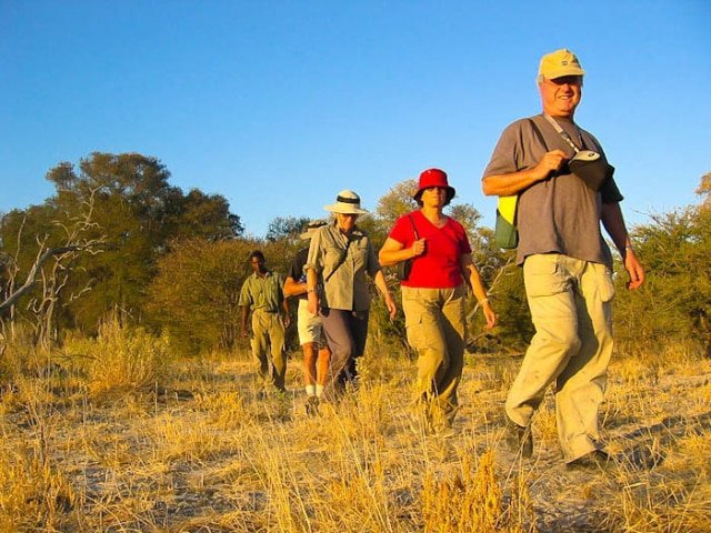 16-day Zimbabwe  Botswana Game Tracker (Accommodated)